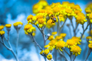 足坛盛宴落幕!世界杯精彩回放,一场关于梦想的终极对决! 足坛盛宴落幕!世界杯精彩回放,一场关于梦想的终极对决!