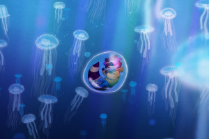 乒乓训练营：不止是技术，更是品格塑造